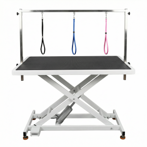 Heavy-Duty Electric Lifting Pet Grooming Table CGPGTS-001