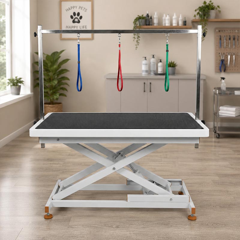 Trend of professional pet grooming equipment: efficient, safe, and salon level solutions