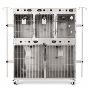 Canine oxygen cage with five front-access zones, straight front view